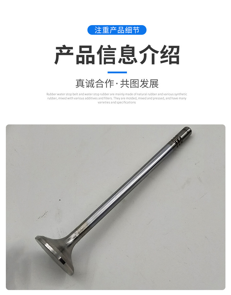 Volvo挖掘機配件 排氣門20833936